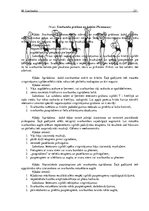 Referāts 'Svarbumbu sporta sacensību vingrinājumu tehnikas analīze un didaktika', 25.