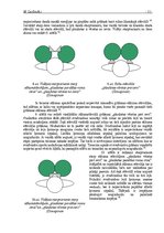 Referāts 'Svarbumbu sporta sacensību vingrinājumu tehnikas analīze un didaktika', 55.