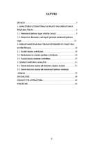 Referāts 'Zemes tirgus analīze Jelgavas rajona Svētes pagastā', 4.