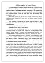 Biznesa plāns 'SIA "X" - biznesa plāns', 2.