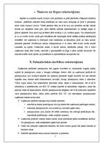 Biznesa plāns 'SIA "X" - biznesa plāns', 5.