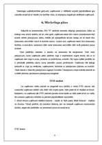 Biznesa plāns 'SIA "X" - biznesa plāns', 6.