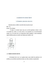 Konspekts 'Roku barjeras kā viens no žestu veidiem', 4.