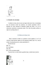 Konspekts 'Roku barjeras kā viens no žestu veidiem', 6.