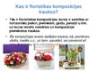 Prezentācija 'Floristiskas kompozīcijas traukos', 2.