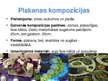 Prezentācija 'Floristiskas kompozīcijas traukos', 4.