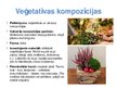 Prezentācija 'Floristiskas kompozīcijas traukos', 9.