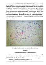 Referāts 'Pazemes grūdienu iespējamība aseismiskajā apgabalā - Latvijā', 15.