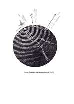 Referāts 'Pazemes grūdienu iespējamība aseismiskajā apgabalā - Latvijā', 34.