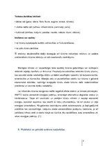 Referāts 'Tūrisma produkta kvalitātes saglabāšanas problēmas globalizācijas kontekstā', 8.