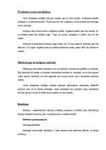 Biznesa plāns 'A/s "Dizaina pasaule"', 8.