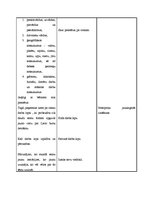 Konspekts 'Konspekts latviešu valodā 2.klasei', 2.