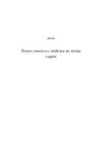 Eseja 'Datora lietošanas juridiskie un ētiskie aspekti', 1.