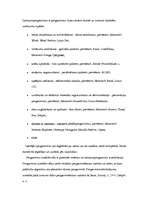 Eseja 'Datora lietošanas juridiskie un ētiskie aspekti', 4.