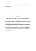 Eseja 'Datora lietošanas juridiskie un ētiskie aspekti', 8.