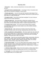 Konspekts 'Karjeras plāns', 1.