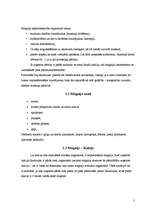 Referāts 'Magnijs', 3.