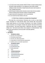 Referāts 'Valsts kases stratēģijas analīze', 3.