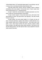 Referāts 'Valsts kases stratēģijas analīze', 5.