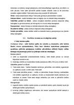 Referāts 'Valsts kases stratēģijas analīze', 8.