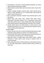 Referāts 'Valsts kases stratēģijas analīze', 9.