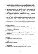 Referāts 'Valsts kases stratēģijas analīze', 11.