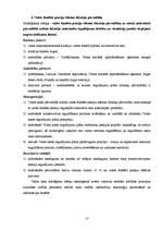 Referāts 'Valsts kases stratēģijas analīze', 13.