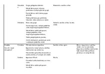 Konspekts 'Nodarbību plāns mēnesim pirmsskolā', 2.