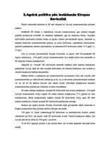 Referāts 'Agrārā politika', 29.