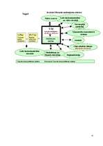 Referāts 'Agrārā politika', 45.