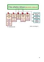 Referāts 'Agrārā politika', 46.