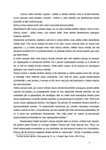 Referāts 'Kolīziju normas', 8.