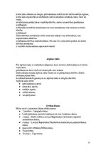 Konspekts 'Darba attiecības uzņēmumā', 15.