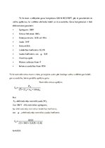 Referāts 'Gaisa kompresora izvēle, aprēķins un garāžas apgaismojuma plāns', 14.