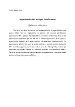 Referāts 'Gaisa kompresora izvēle, aprēķins un garāžas apgaismojuma plāns', 19.