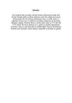 Prakses atskaite 'Prakses atskaite Latvijas tūrisma informācijas birojam', 1.