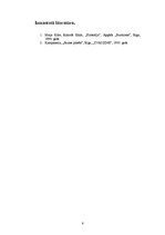 Referāts 'Sapnis par labāku dzīvi', 6.