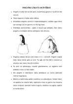 Konspekts 'Integrētā stunda ar vizuālās mākslas dominanti', 6.