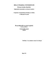 Referāts 'Pamatlīdzekļi un pašu kapitāls', 1.