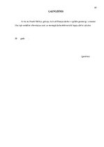 Diplomdarbs 'Решение составления инвестиционного портфеля', 65.