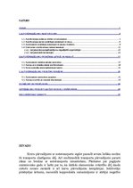 Referāts 'Starptautiskie auto pārvadājumi', 1.