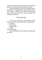 Referāts 'Atkritumi mums apkārt', 13.