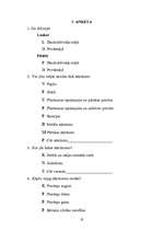 Referāts 'Atkritumi mums apkārt', 21.