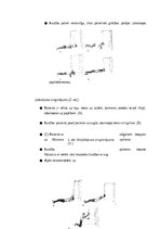 Referāts 'Fizioterapijas iespējas sportistiem pēc augšējo ekstremitāšu traumām', 6.