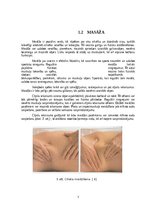 Referāts 'Fizioterapijas iespējas sportistiem pēc augšējo ekstremitāšu traumām', 7.