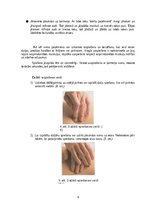 Referāts 'Fizioterapijas iespējas sportistiem pēc augšējo ekstremitāšu traumām', 8.