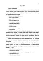 Referāts 'Vadības funkciju pielietojums uzņēmumā', 2.