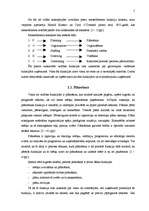 Referāts 'Vadības funkciju pielietojums uzņēmumā', 5.