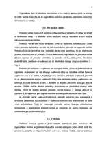 Referāts 'Vadības funkciju pielietojums uzņēmumā', 7.