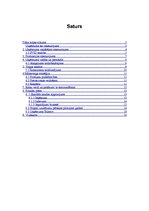 Biznesa plāns 'Biznesa plāns skeitborda preču veikala izveidei', 2.